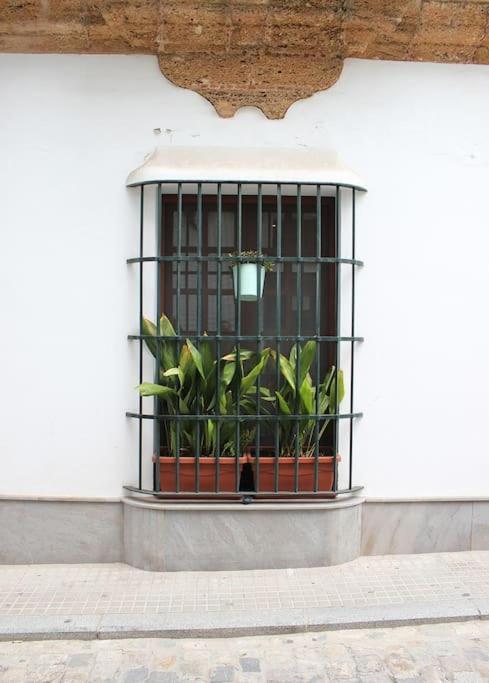 Fancy Apartment In A Historic House, Chiclana City Center By C. Dreams Chiclana de la Frontera Buitenkant foto