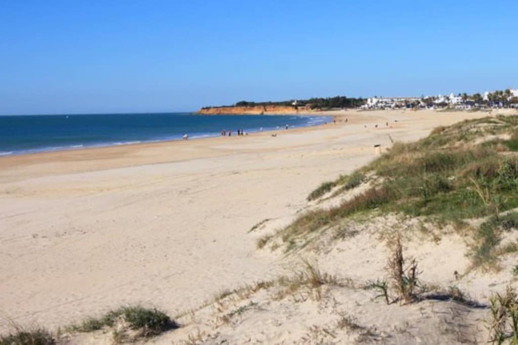 Fancy Apartment In A Historic House, Chiclana City Center By C. Dreams Chiclana de la Frontera Buitenkant foto